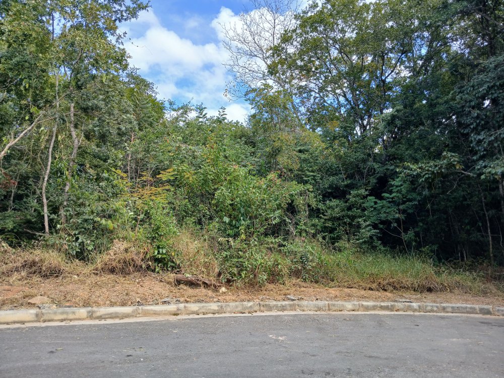 Terreno - Venda - Campo dos Grous-Coroados - Lagoa Santa - MG