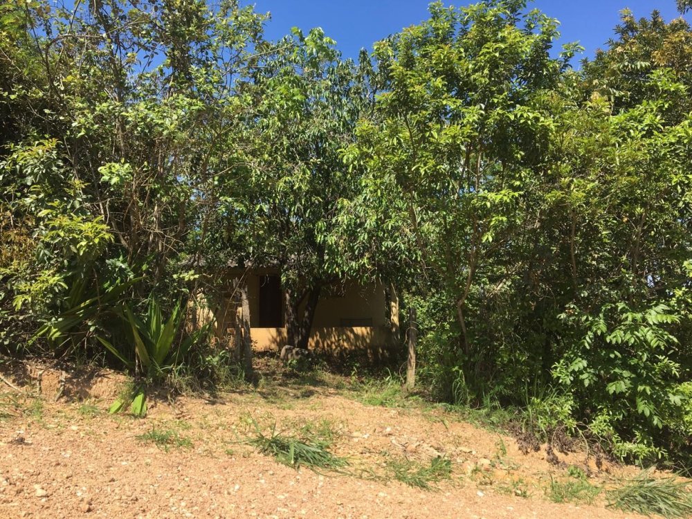 Terreno - Venda - Chcaras Monte Lbano - Jaboticatubas - MG